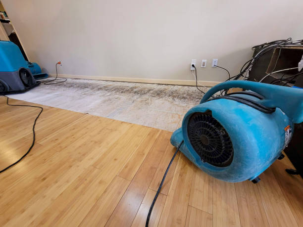 Professional Basement Flood Cleanup technician working in Agness, OR